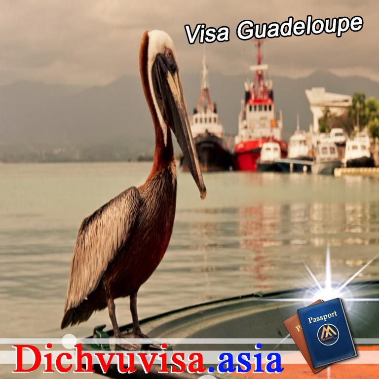 Thủ tục xin visa lao động ở Guadeloupe