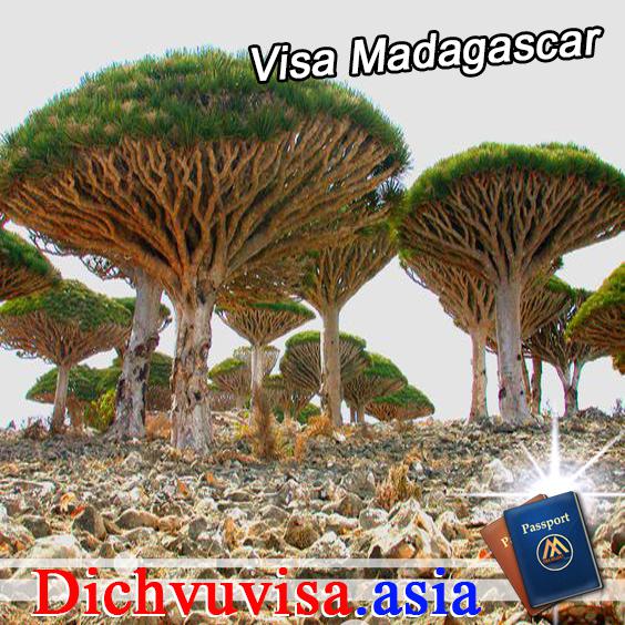 Thủ tục visa công tác Ma-đa-ga-xca